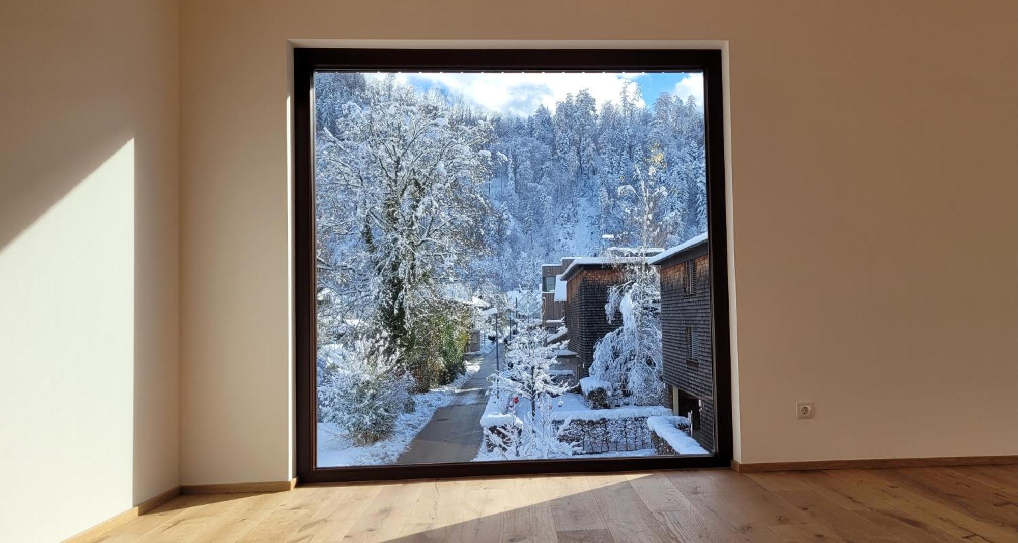 Urban-Apartmenthaus Zwischen Berg Und See دورنبيرن المظهر الخارجي الصورة